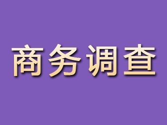 海陵商务调查